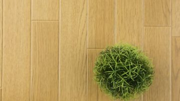 podea eco