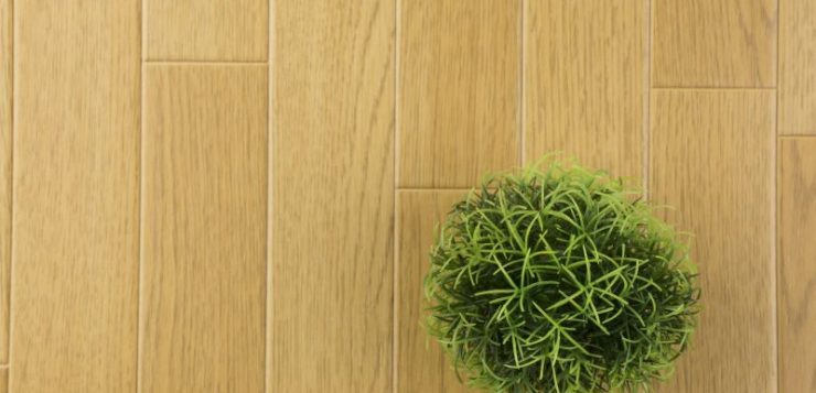 podea eco