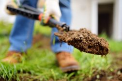 Lucrări pentru grădina de făcut în decembrie