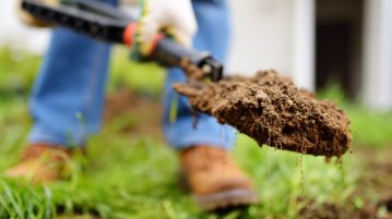 Lucrări pentru grădina de făcut în decembrie