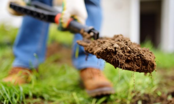 Lucrări pentru grădina de făcut în decembrie