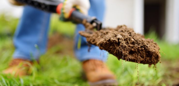 Lucrări pentru grădina de făcut în decembrie