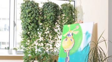 perdeaua din plante