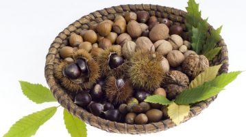 pomi fructiferi