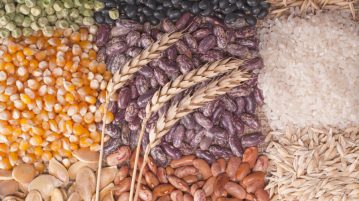 semințe de legume