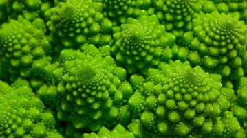 romanesco