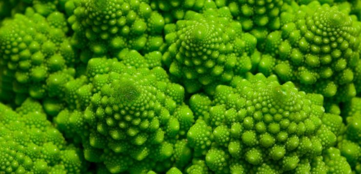 romanesco