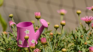 gradina in luna mai