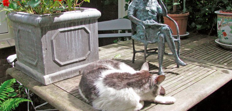 obiecte frumoase gradina statueta femeie