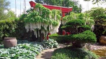 accente nipone pergola stil asiatic