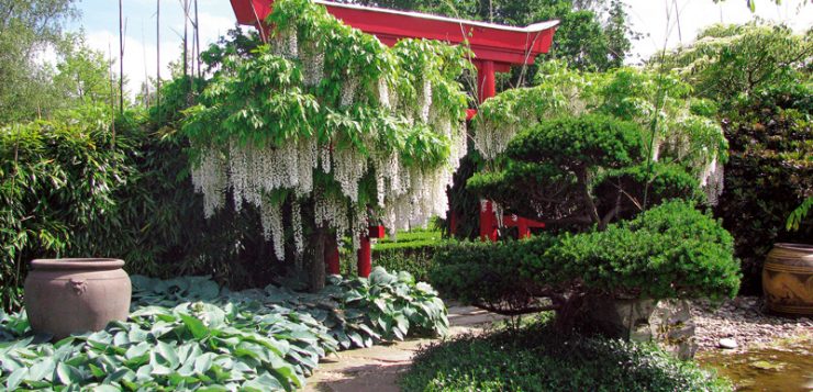 accente nipone pergola stil asiatic