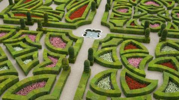 labirint verde miniatural