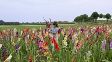 Colecția de gladiole
