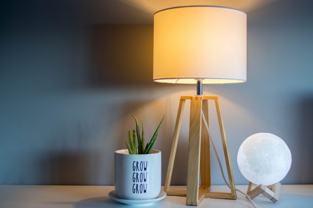 lampa, bec, planta cu frunze verzi, lipsa luminii naturale