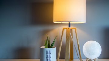 lampa, bec, planta cu frunze verzi, lipsa luminii naturale