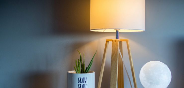 lampa, bec, planta cu frunze verzi, lipsa luminii naturale