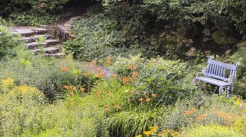 Gradina salbatica, amenajare gradina, gradina rurala
