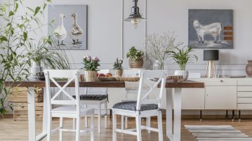 plante casa decor natural
