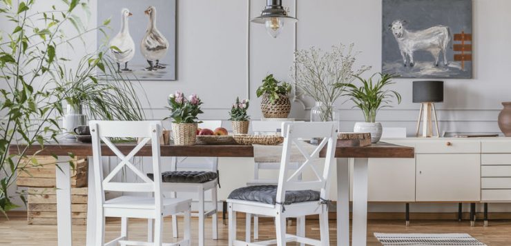 plante casa decor natural
