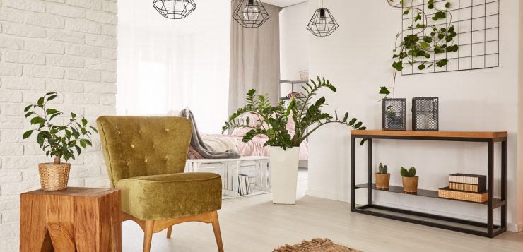 decoratiuni interioare