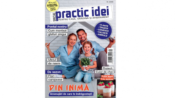practic idei