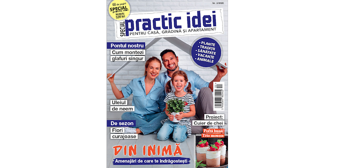 practic idei