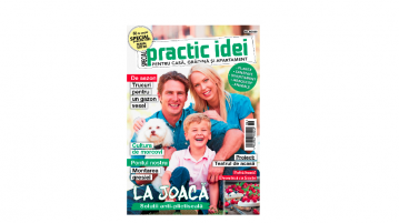 revista