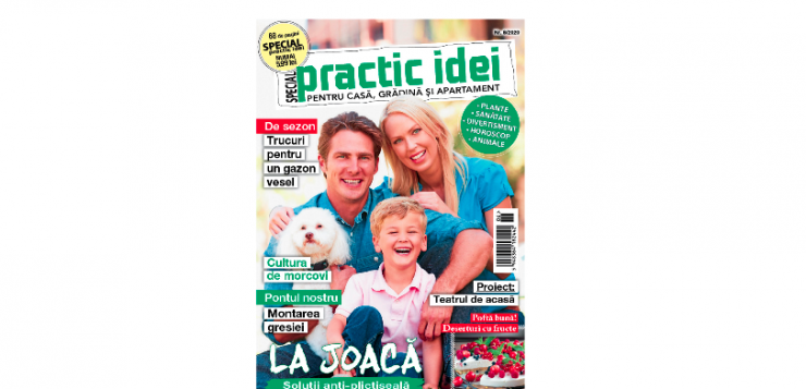 revista