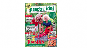 Practic Idei