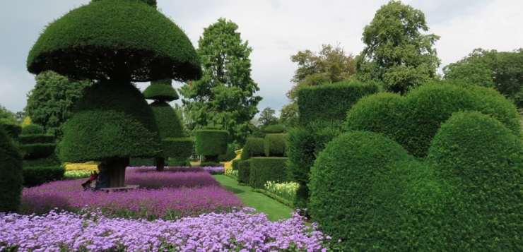 topiary