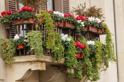 balcon modern