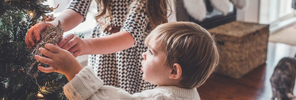 Bradul în ghiveci, o alegere sustenabilă de Crăciun